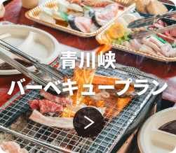 青川峡バーベキュープラン
